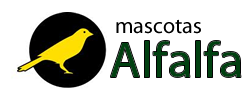 Mascotas Alfalfa