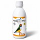 Mudabird Plus – Complemento líquido para la muda y el plumaje de aves ornamentales Muda / Plumaje