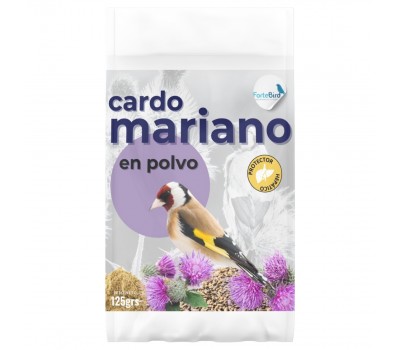Cardo Mariano | Mejora Hepática y Digestiva para Canarios y Jilgueros