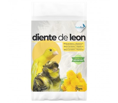 Polvo de Diente de León 70 grs | ForteBird