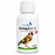 OregaBird (Esencia de Orégano 10%) ForteBird