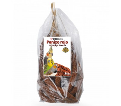 Panizo espiga rojo francés