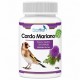 Cardo Mariano | Mejora Hepática y Digestiva para Canarios y Jilgueros