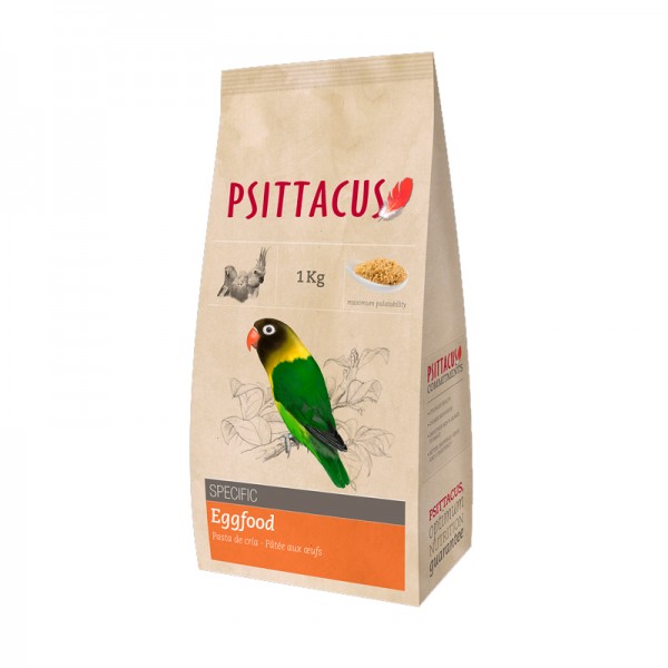 Agapornis Psittacus Pasta Cría Agapornis Psittacus Pasta Cría