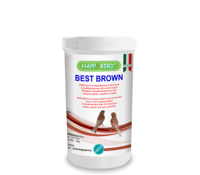 Best Brown (Canarios faeo, pastel y opal) HAPPY BIRD
