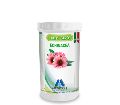 Echinacea 4% HAPPY BIRD