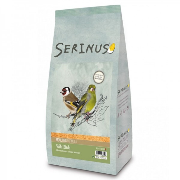 Serinus pienso silvestre muda Food goldfinches and wild