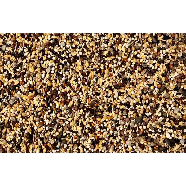Semillas de salud Jarad Seeds Semillas de salud Jarad Seeds
