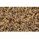 Semillas de salud Jarad Seeds Semillas de salud Jarad Seeds