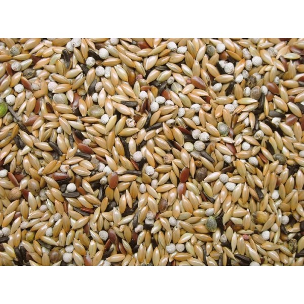 Mixtura Premifood Canario Energy jarad Comida para canarios