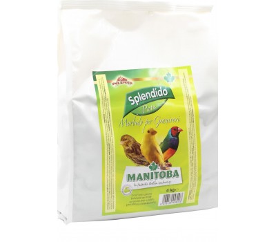 Pasta Amarilla Mórbida Splendido Manitoba 3 kg – Pasta húmeda profesional para aves