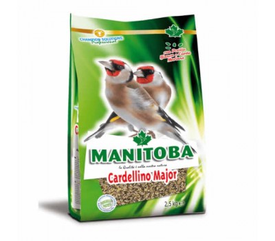 Cardellino Major (Mixtura para Jilgueros mayor)