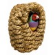 nido para pájaros exóticos NEST