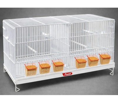 Jaula cria 60 cm PEDROS-BLANCA