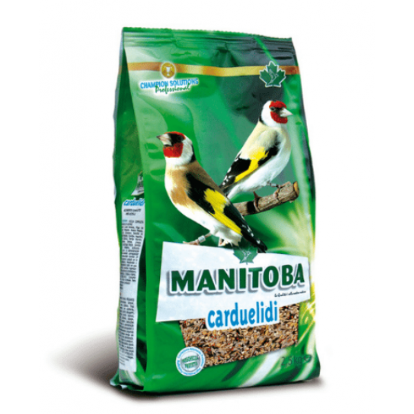 Mxt. Jilgueros Carduelidi + chia Mxt. Jilgueros Carduelidi + chia