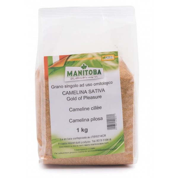 Camelina Sativa (Manitoba) 1 kg. Semillas