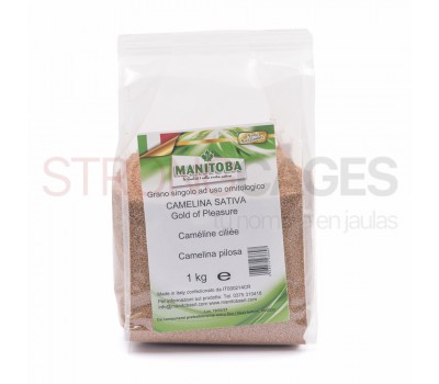 Camelina Sativa (Manitoba) 1 kg.