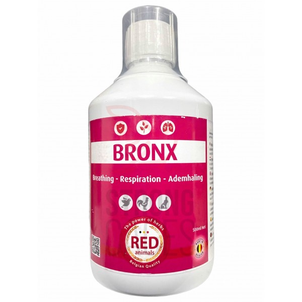 Bronx ( airways) Red Pigeon