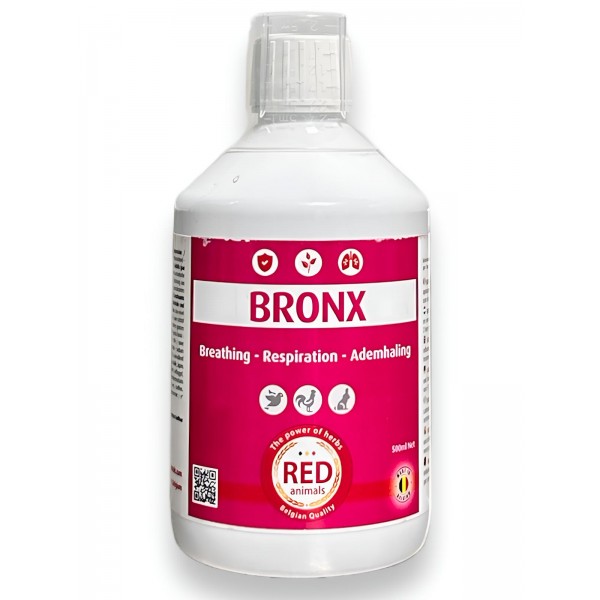 Bronx (vías respiratorias) Red Pigeon