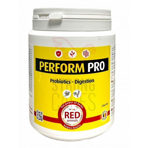 Perform Pro 500 grs Red Pigeon