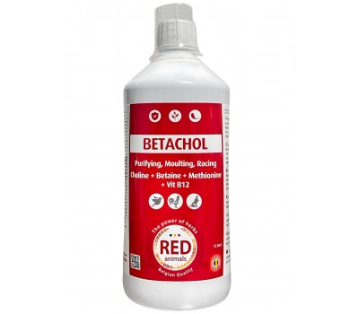 Betachol 1L (Desintoxica el organismo)