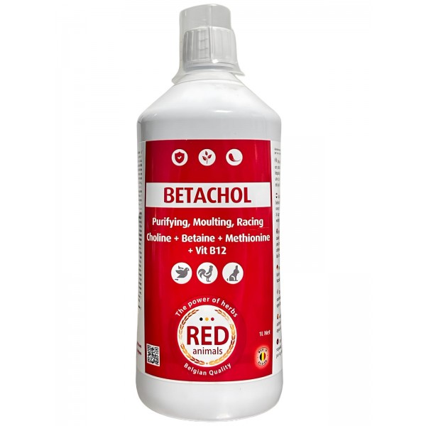 Betachol 1L (Desintoxica el organismo) Red Pigeon