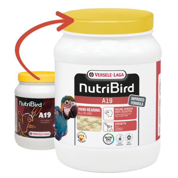 Nutribird A19 High Energy Nutribird A19 High Energy