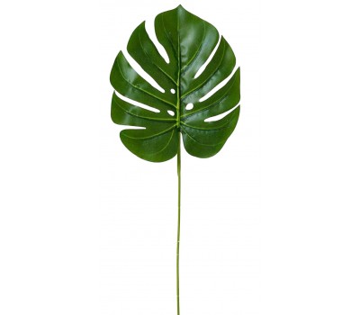 Hoja de Palma para decoración de aviario