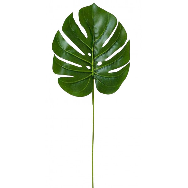 Hoja de Palma para decoración de aviario NEST Hoja de Palma para decoración de aviario NEST