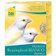 Pasta de Cría Cede Bianco para Canarios Blancos 5Kg Morbid pasta Pasta de Cría Cede Bianco para Canarios Blancos 5Kg Morbid pasta