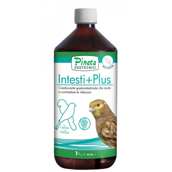 Intesti+Plus – Bienestar y Equilibrio Digestivo para aves Pineta