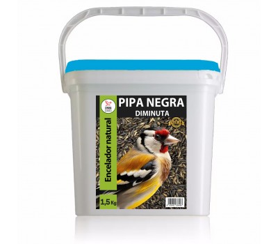 Pipa diminuta de girasol 1,5 Kg | StrongCages