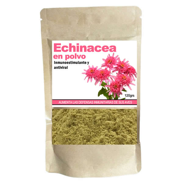 Echinacea en polvo (promueve las defensas inmunitarias) Estados carenciales