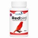 RedBird | Pigmentación pájaros rojos Bird coloring