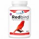 RedBird | Pigmentación pájaros rojos Bird coloring