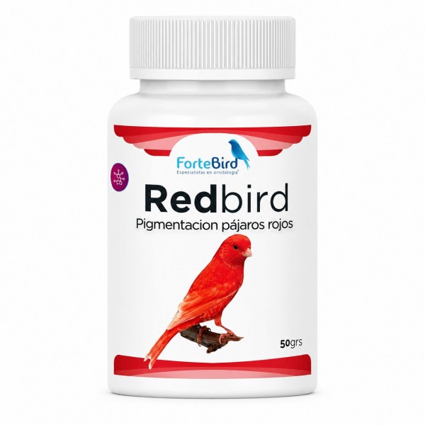 RedBird | Pigmentación pájaros rojos Bird coloring