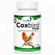 Coxbird Forte | Prevención y Tratamiento Natural de Coccidiosis