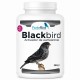 BlackBird | Suplemento para Mejorar la Oxidación y Calidad de Plumaje Negro
