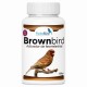 Brownbird - Optimiza la Feomelanina y la Oxidación en Faeos y Brunos