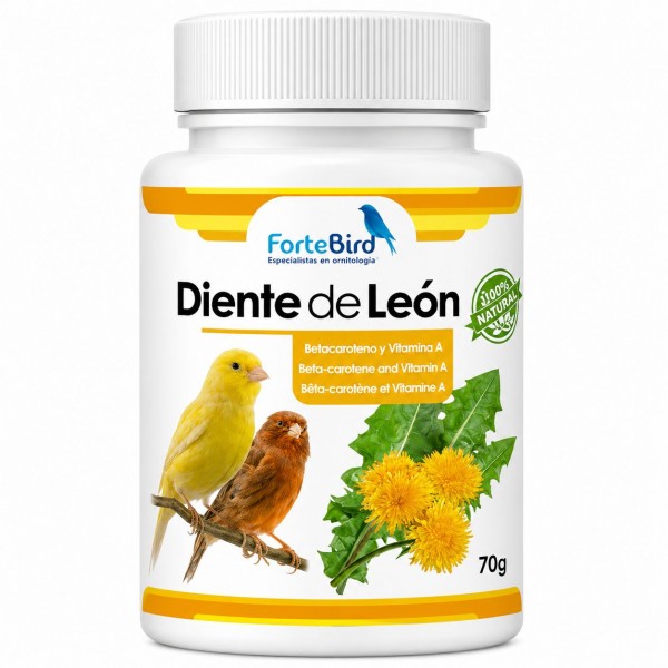 Polvo de Diente de León 70 grs | ForteBird ForteBird