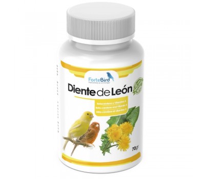 Polvo de Diente de León 70 grs | ForteBird
