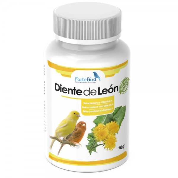 Polvo de Diente de León 70 grs | ForteBird ForteBird Polvo de Diente de León 70 grs | ForteBird ForteBird