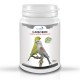 CarboBird - Carbon Vegetal Activo CarboBird - Carbon Vegetal Activo