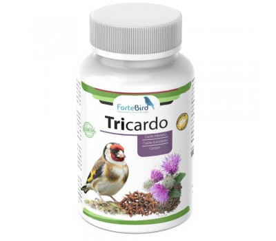 Tricardo (Cardo Mariano / Cardón / Cardo Estrellado) Excelente Protector Hepático