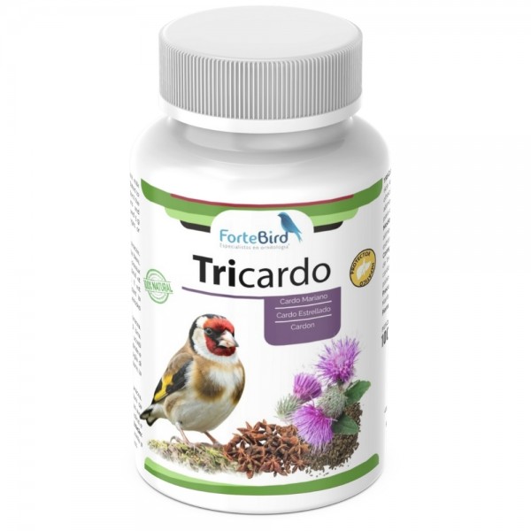 Tricardo (Cardo Mariano / Cardón / Cardo Estrellado) Excelente Protector Hepático