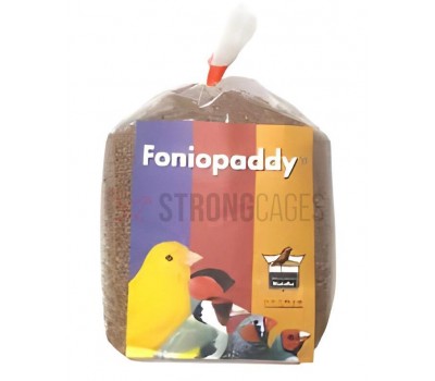 Fonio Paddy 1 Kg
