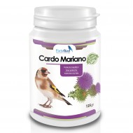 Cardo Mariano / Protector hepático para aves