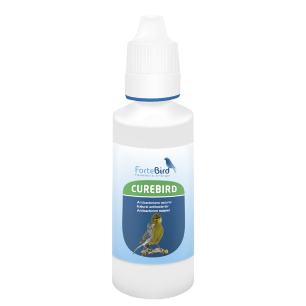 Curebird liquido (Antibacteriano natural) ForteBird