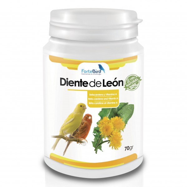 Polvo de Diente de León 70 grs | ForteBird Polvo de Diente de León 70 grs | ForteBird