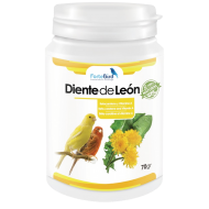 Polvo de Diente de León 70 grs | ForteBird